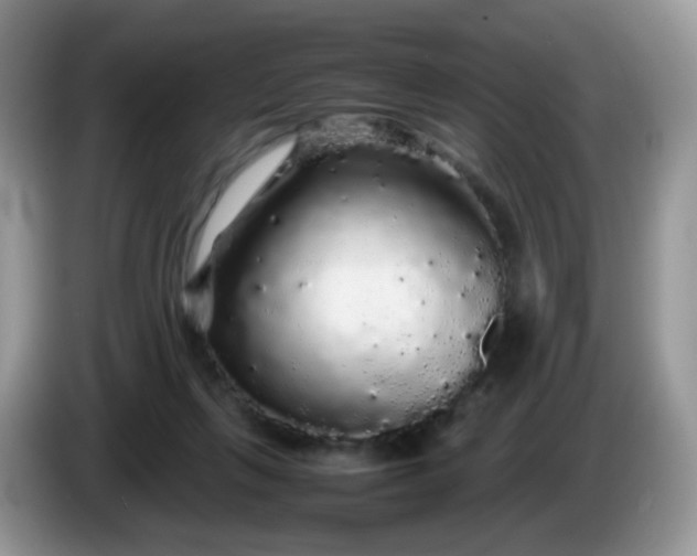 X0000086260263200704122015