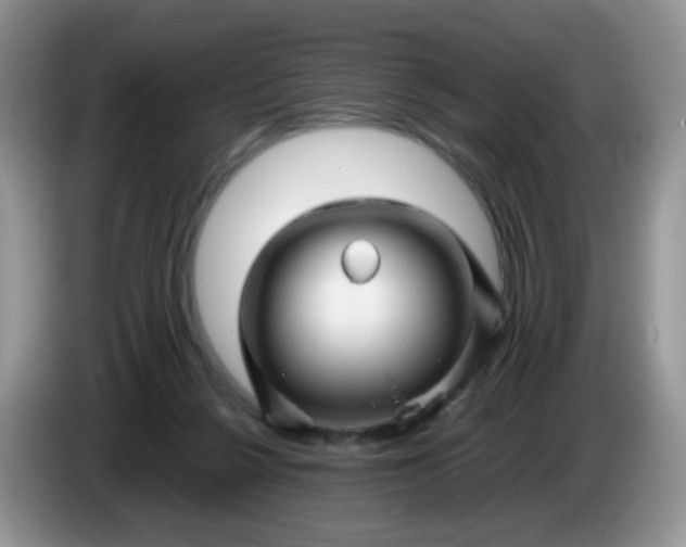 X0000086260264200704122015
