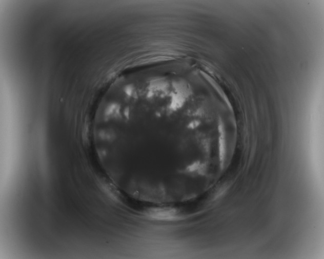 X0000086260266200704122015
