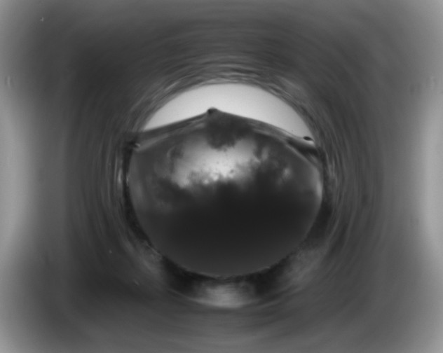 X0000086260267200704122015