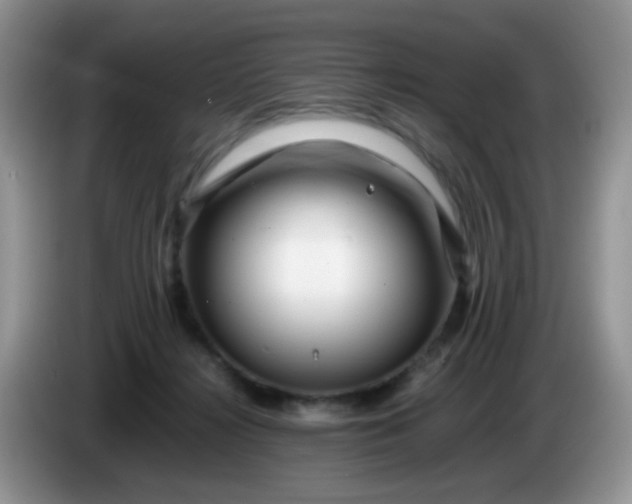 X0000086260268200704122015