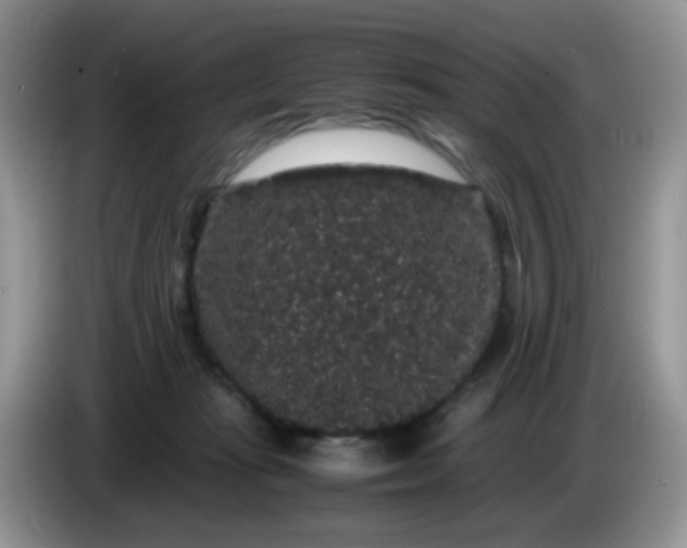 X0000086260269200704122015