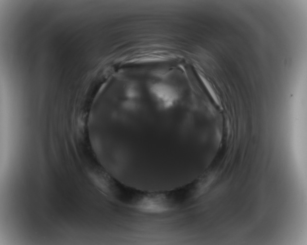 X0000086260271200704122015