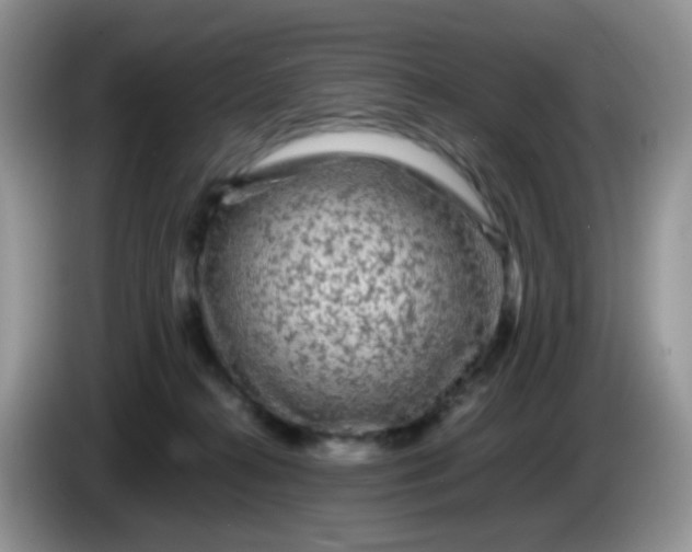 X0000086260272200704122015
