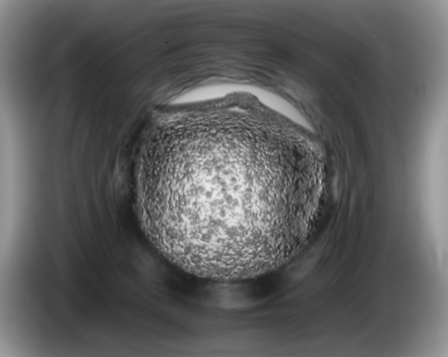 X0000086260273200704122015
