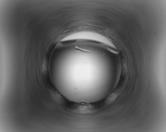 X0000086260274200704122015