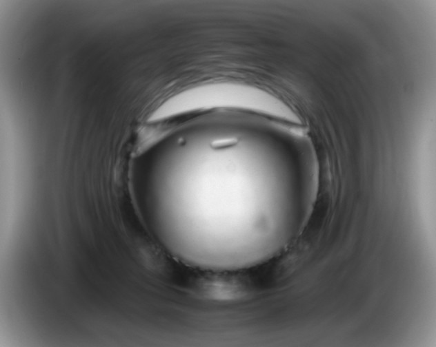 X0000086260275200704122015