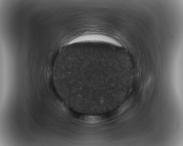 X0000086260277200704122015