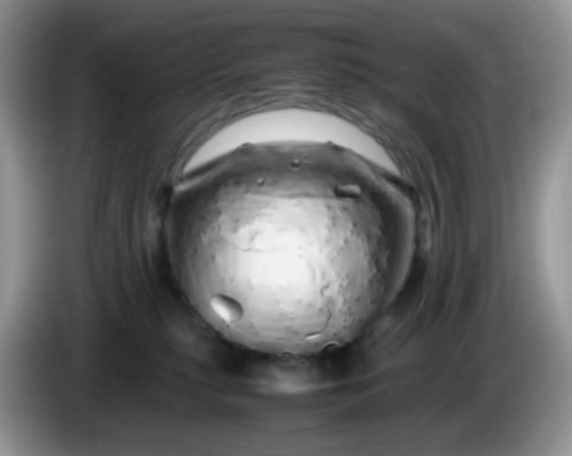 X0000086260279200704122015