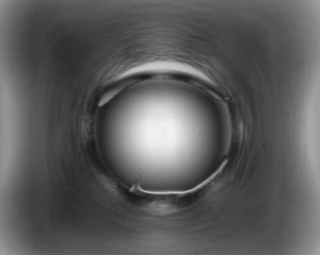 X0000086260280200704122015