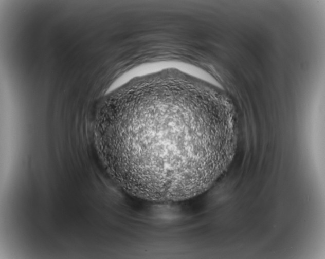 X0000086260281200704122015