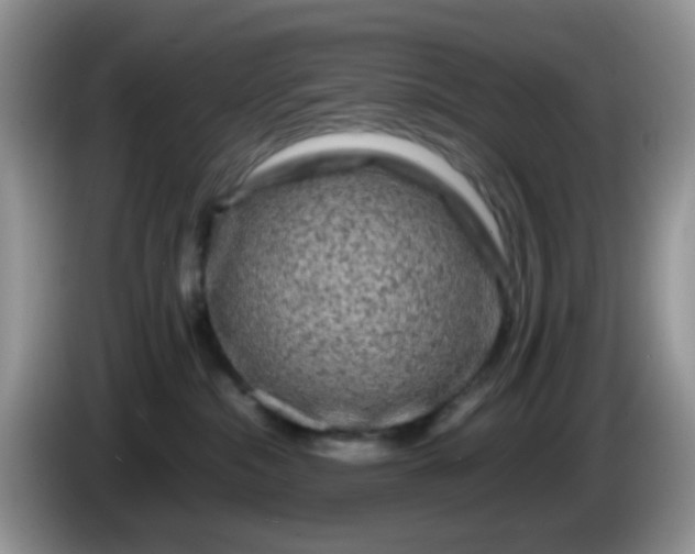 X0000086260284200704122016