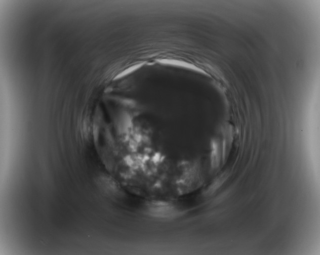 X0000086260285200704122016