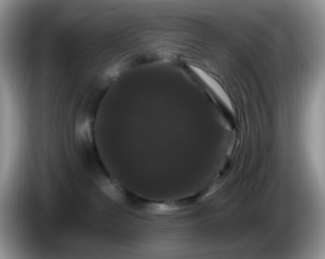 X0000086260286200704122016