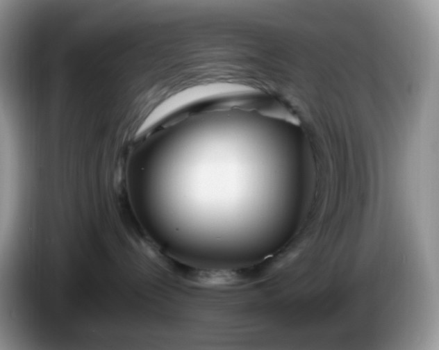 X0000086260288200704122016