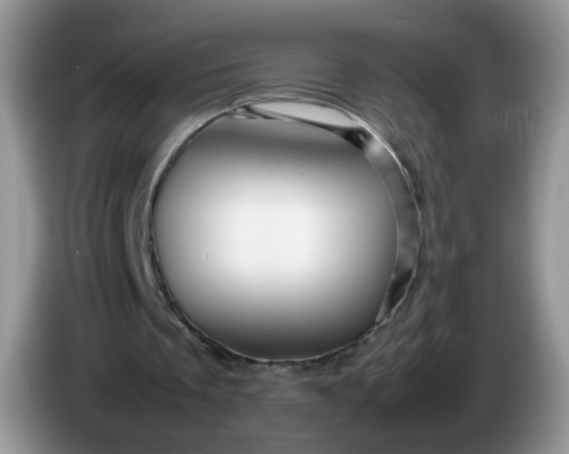X0000086260289200704122015