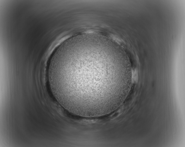 X0000086260291200704122015