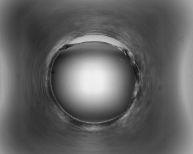 X0000086260293200704122015