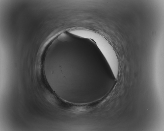 X0000086260295200704122015