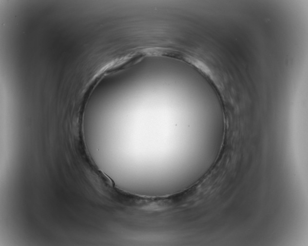 X0000086260297200704122015