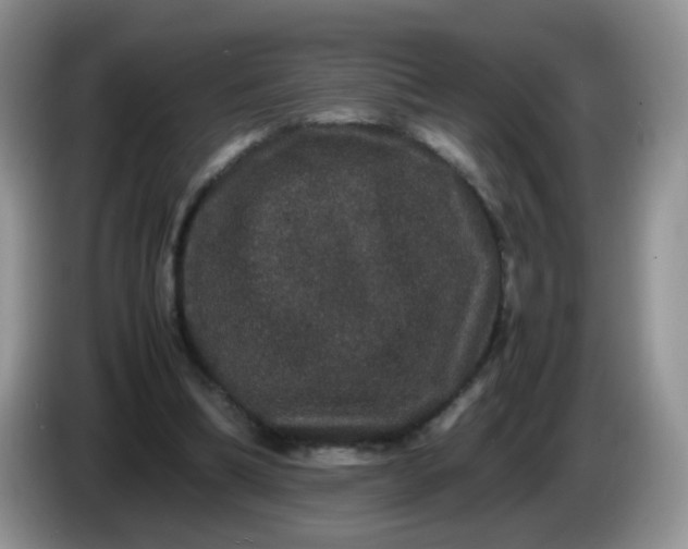 X0000086260298200704122015