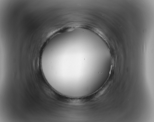 X0000086260301200704122015