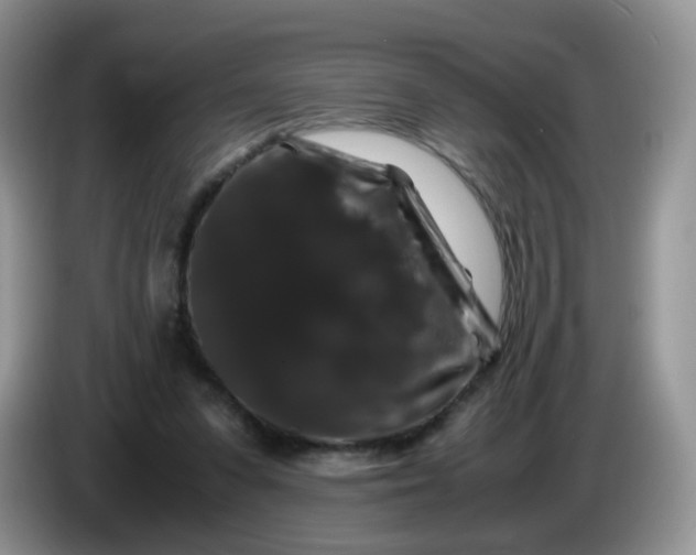 X0000086260303200704122015