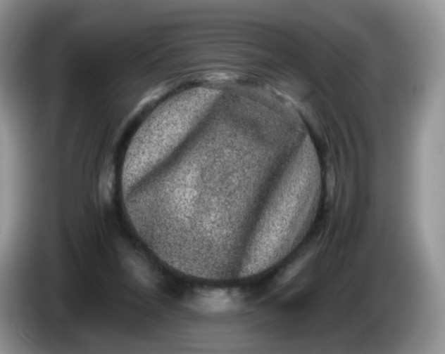 X0000086260304200704122015