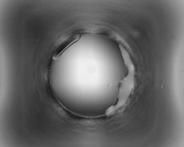 X0000086260305200704122015