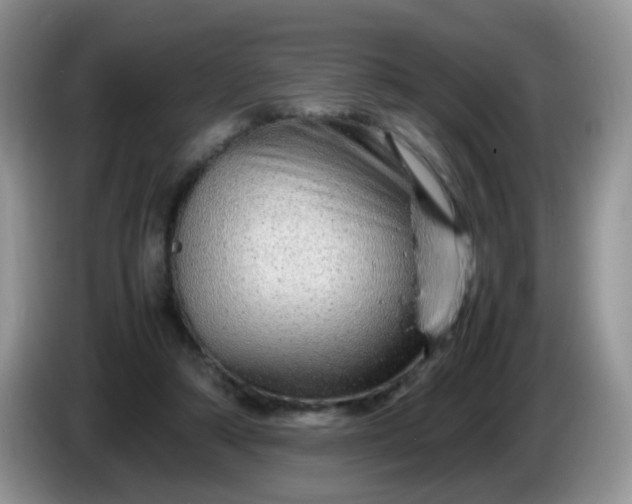 X0000086260306200704122015