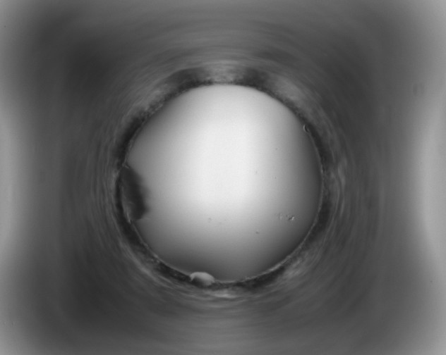 X0000086260307200704122015
