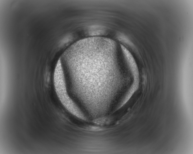 X0000086260308200704122015