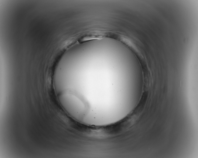 X0000086260309200704122015