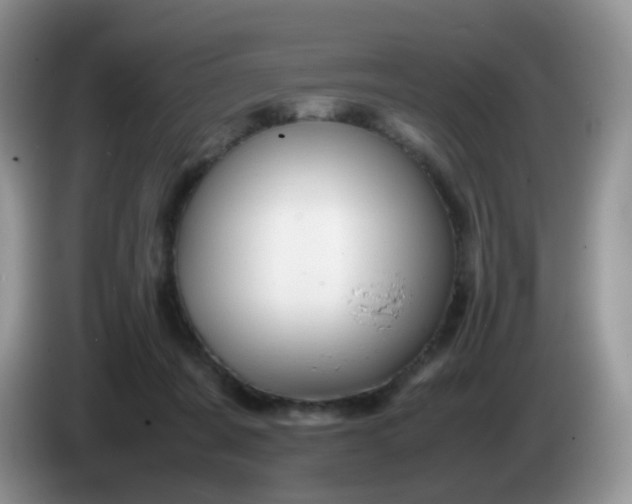 X0000086260311200704122015