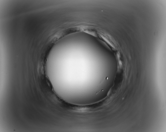 X0000086260313200704122015