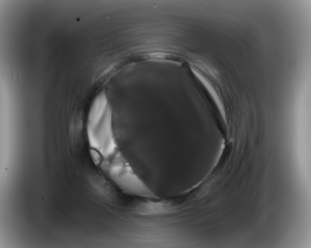 X0000086260314200704122015