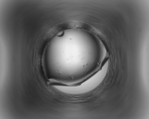 X0000086260315200704122015