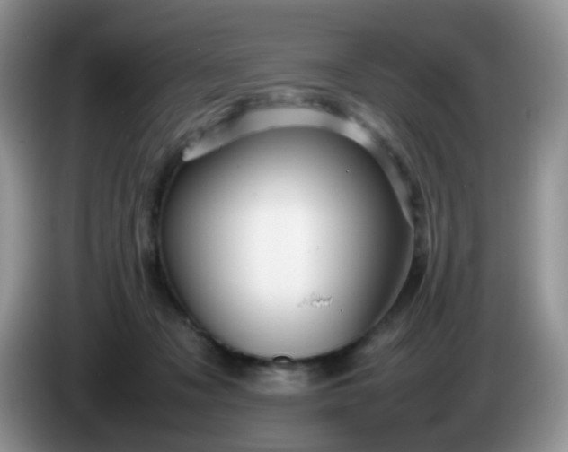 X0000086260317200704122015