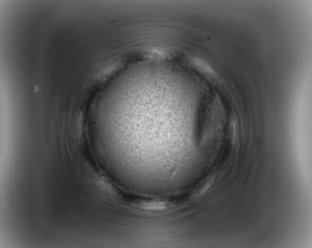 X0000086260318200704122015