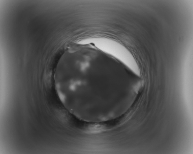 X0000086260319200704122015