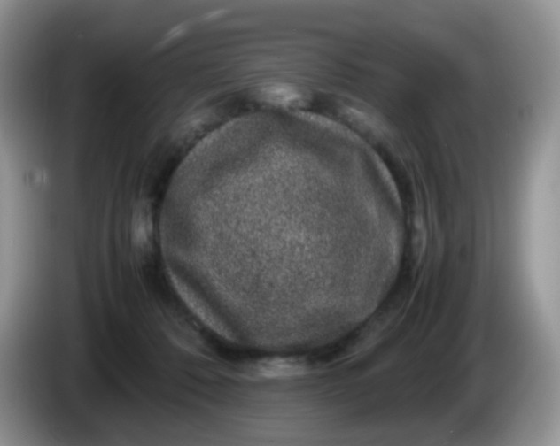 X0000086260320200704122015