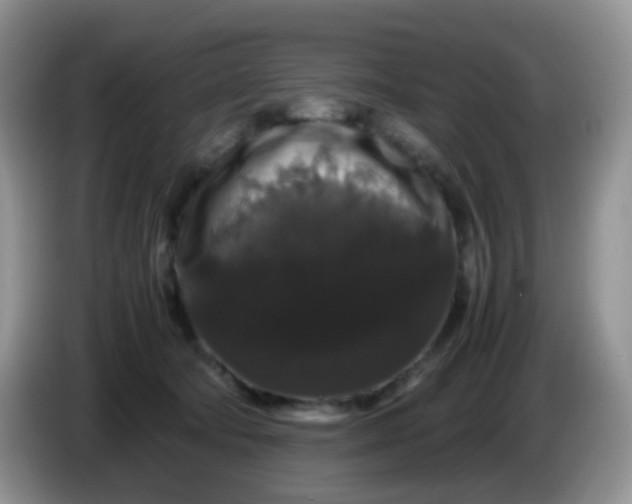 X0000086260322200704122015