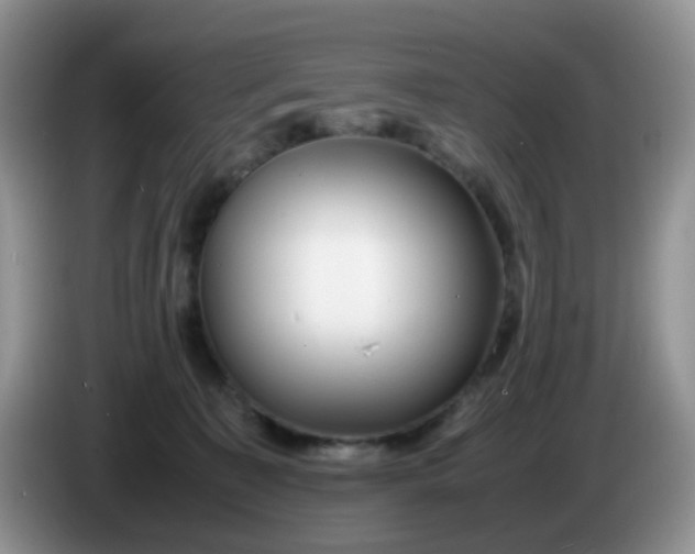 X0000086260323200704122015
