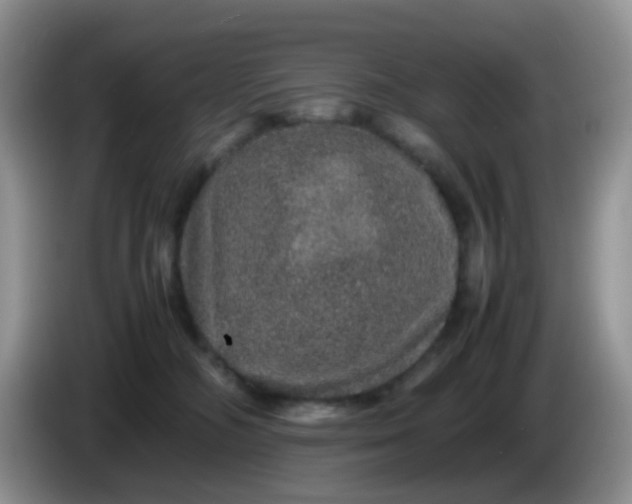 X0000086260326200704122015