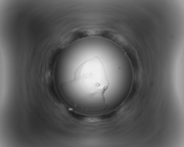 X0000086260327200704122015