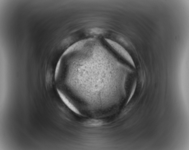 X0000086260328200704122015