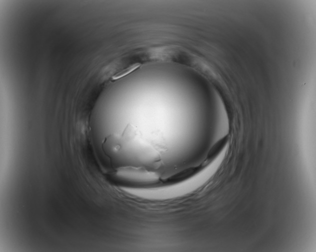 X0000086260329200704122015