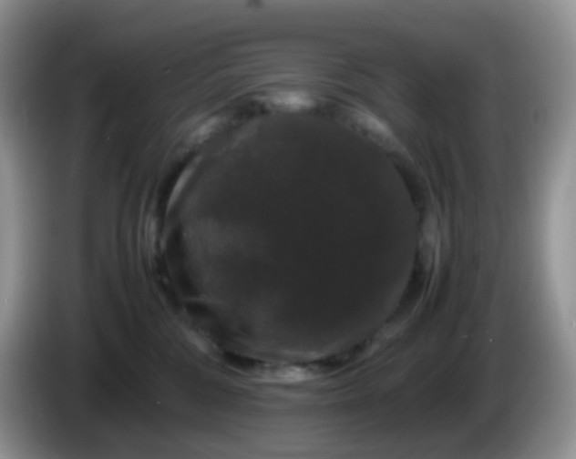 X0000086260330200704122015