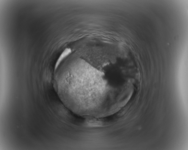 X0000086260331200704122015