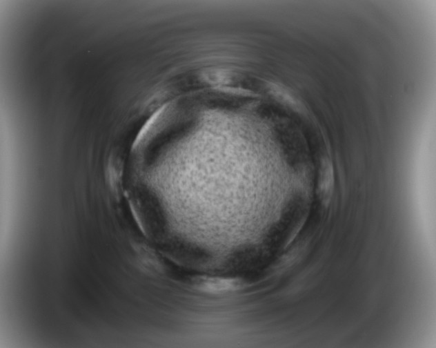 X0000086260332200704122014